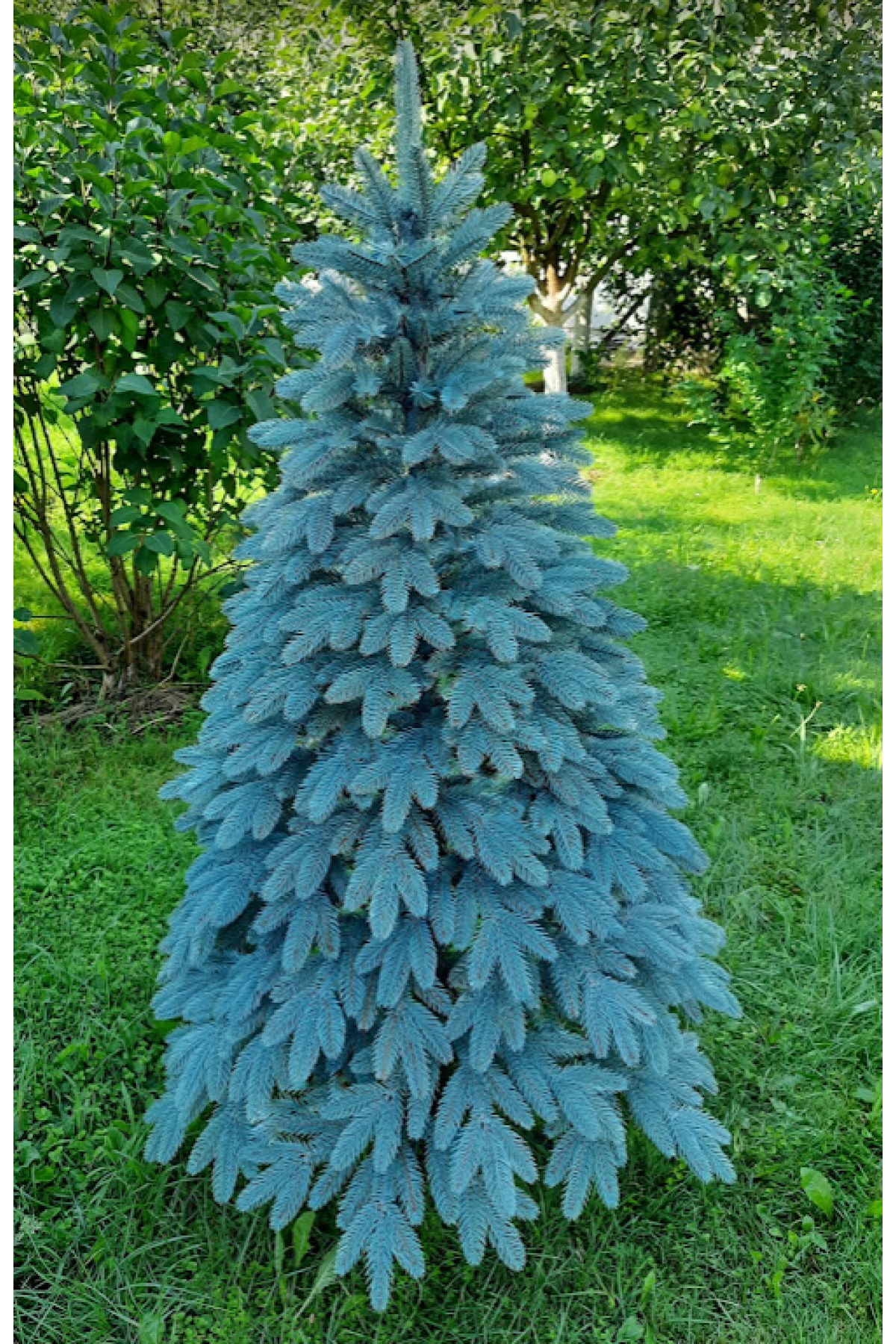 Литая ель Элитная 150 см голубая | Новогодняя литая ёлка