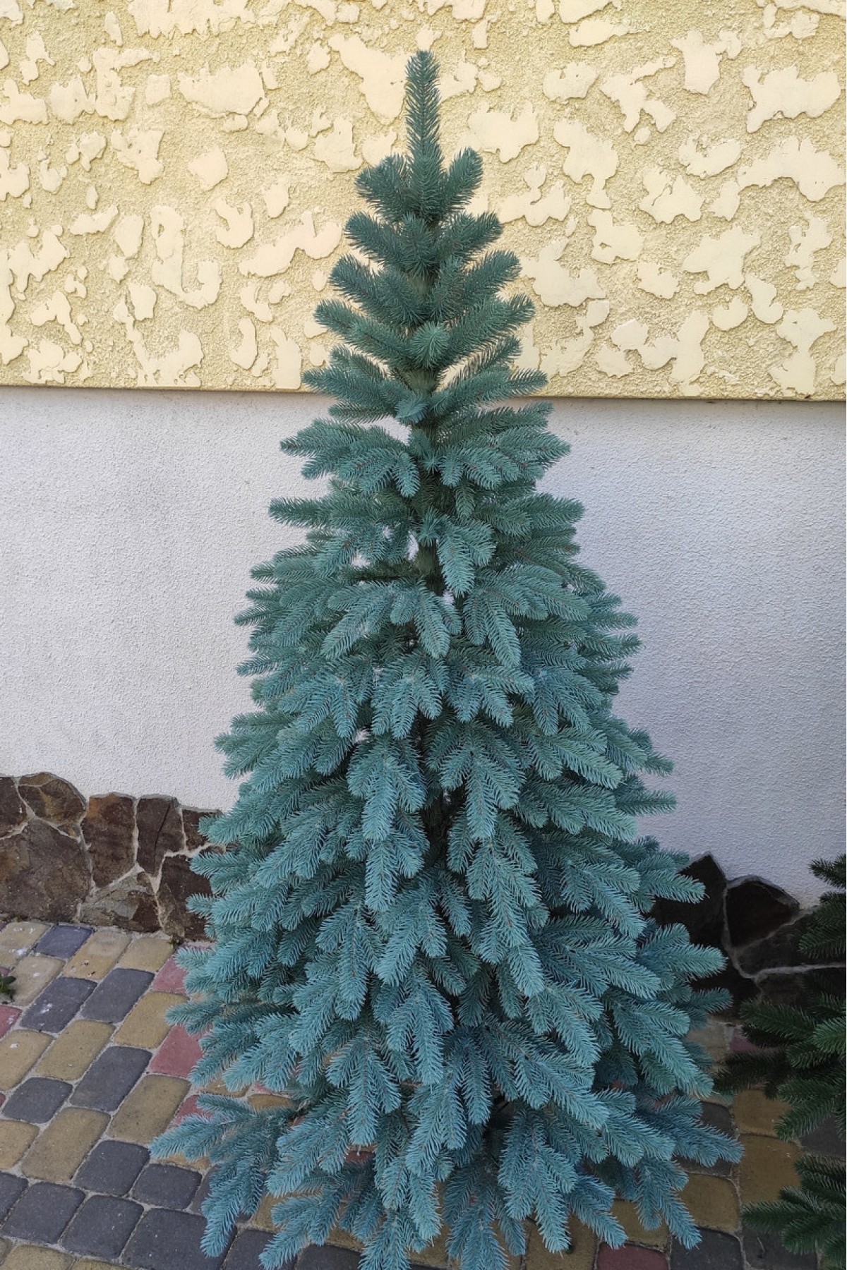 Литая искусственная голубая елка Vip Tree 230 см | Искусственная литая ель