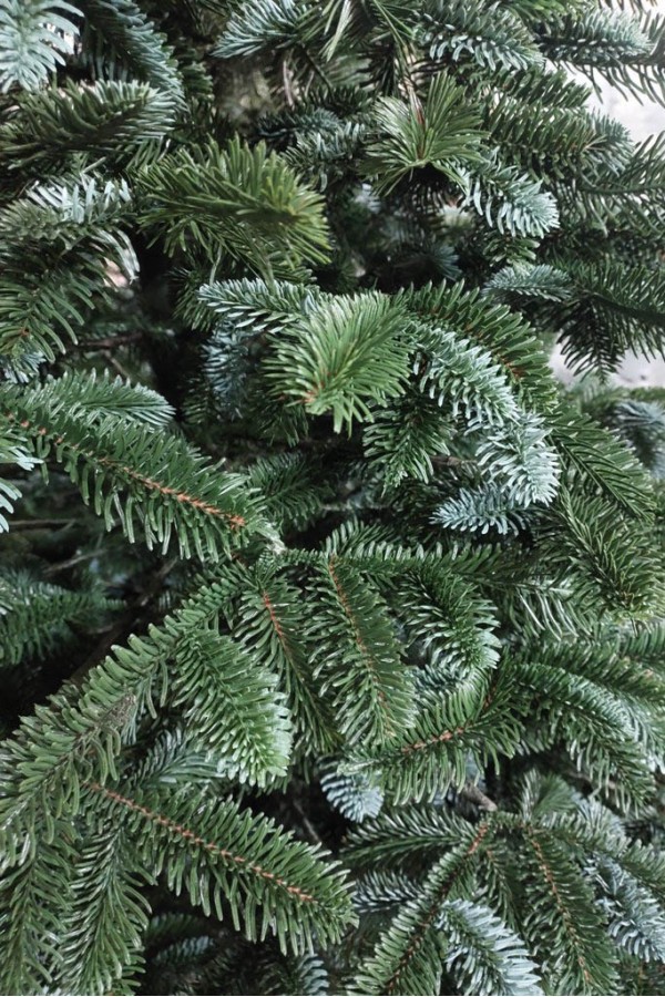 Литая елка Канадская зеленая VIP 210 см| Новогодняя литая Канадская ель