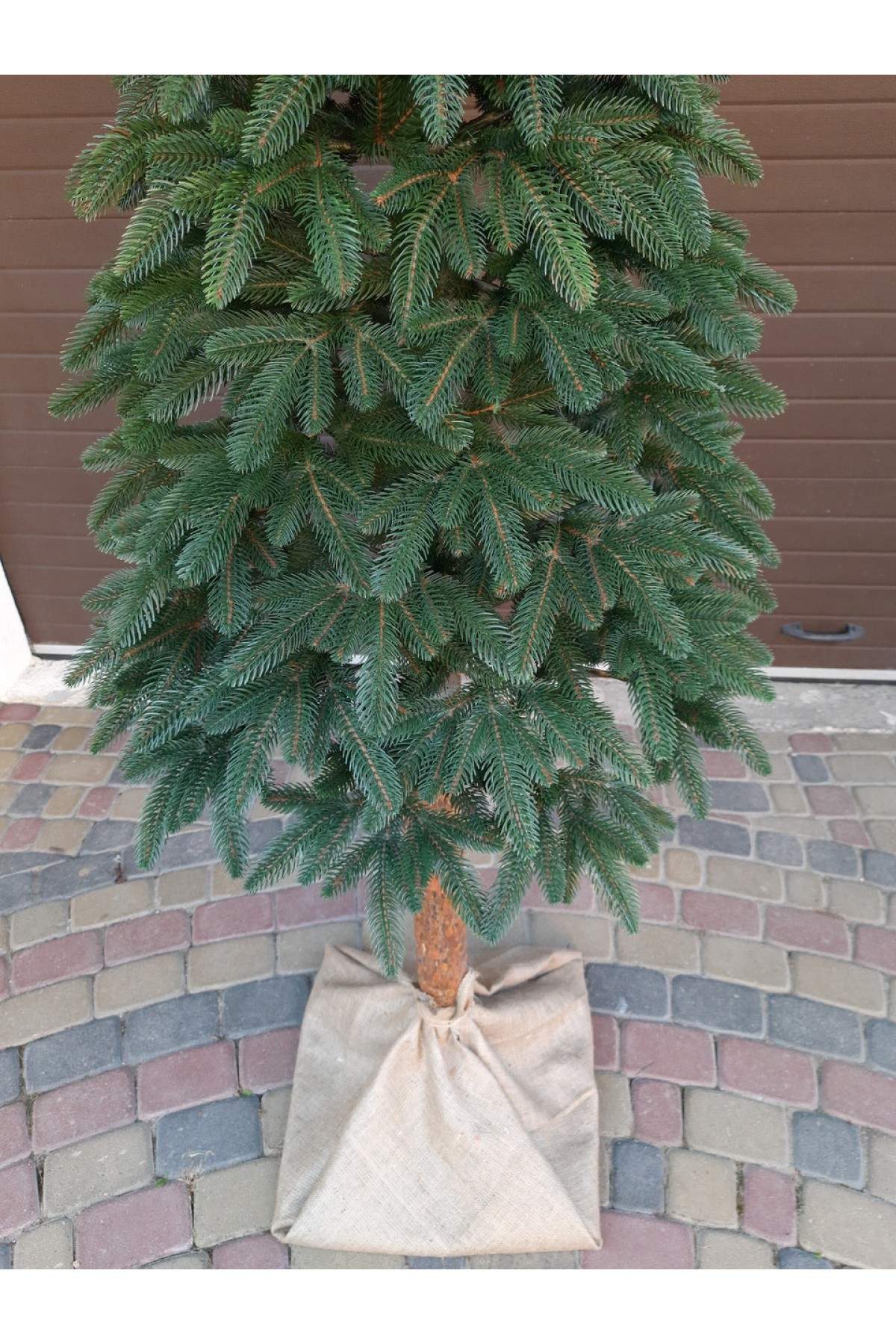 Литая елка на пеньке Премиум Зеленая 180 см | Искусственная литая ель на пеньке