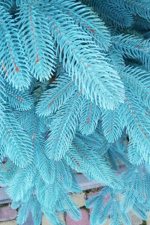 Литая елка Премиум 2.50м. Голуба | Искусственная литая ель