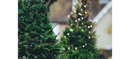 Искусственная елка – праздничное настроение в каждом доме